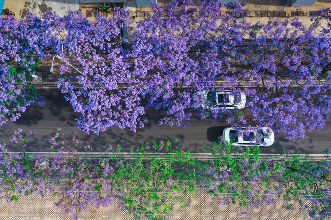 微信图片_20260311092406.jpg 微信图片_20260311092406.jpg