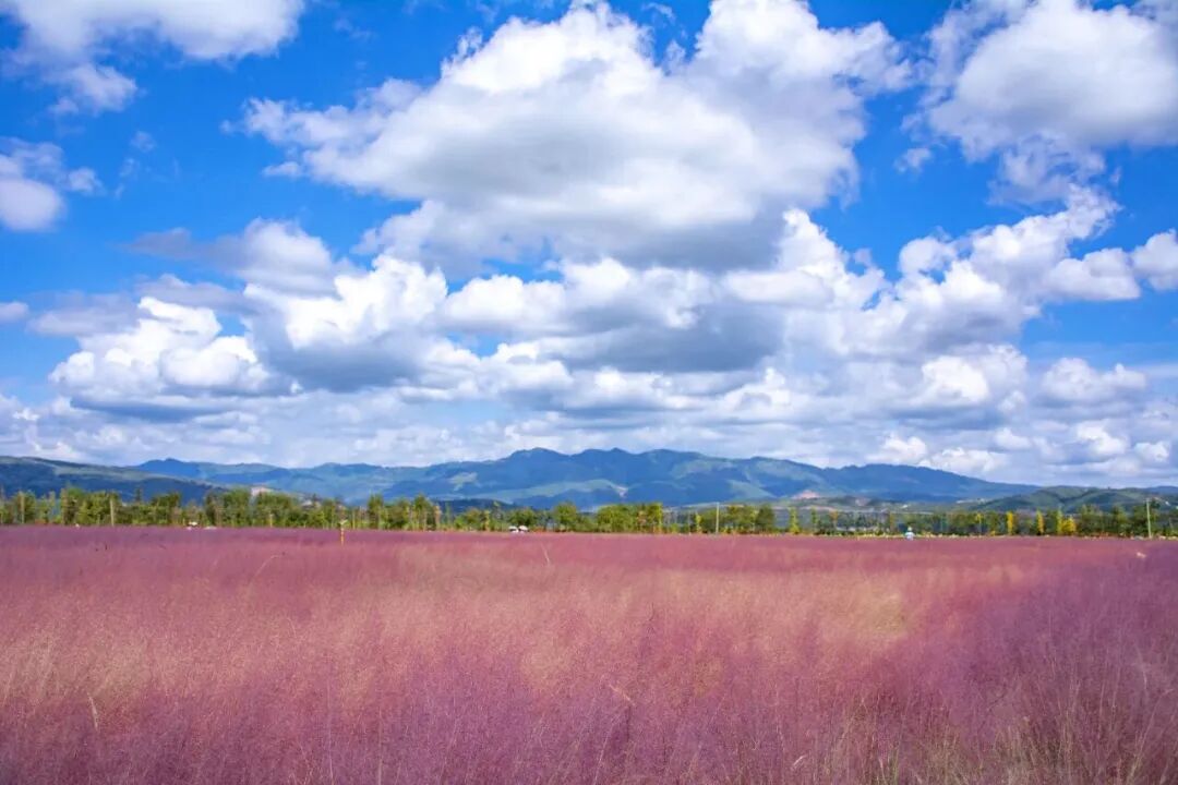 微信图片_20260311092411.jpg 微信图片_20260311092411.jpg