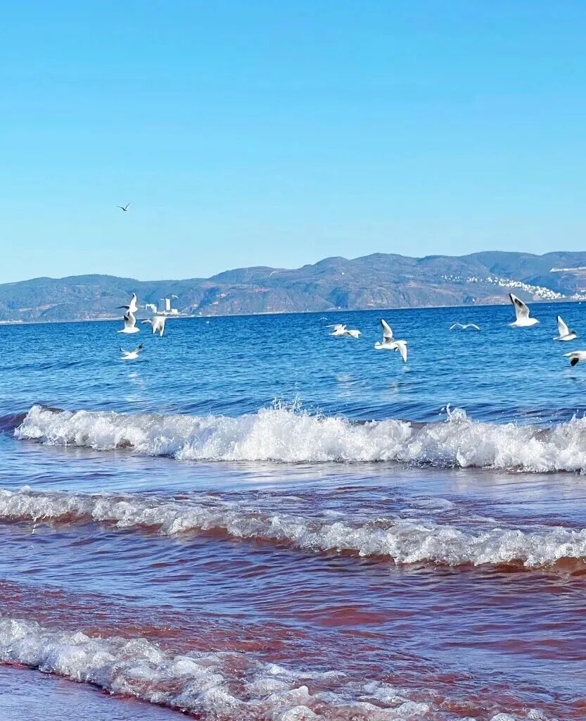 微信图片_20260311092415.jpg 微信图片_20260311092415.jpg