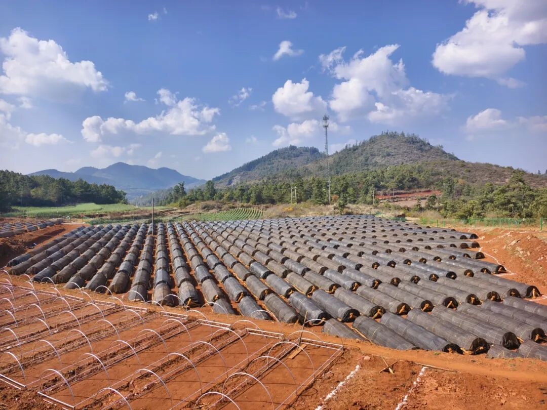 111111111111.jpg 111111111111.jpg