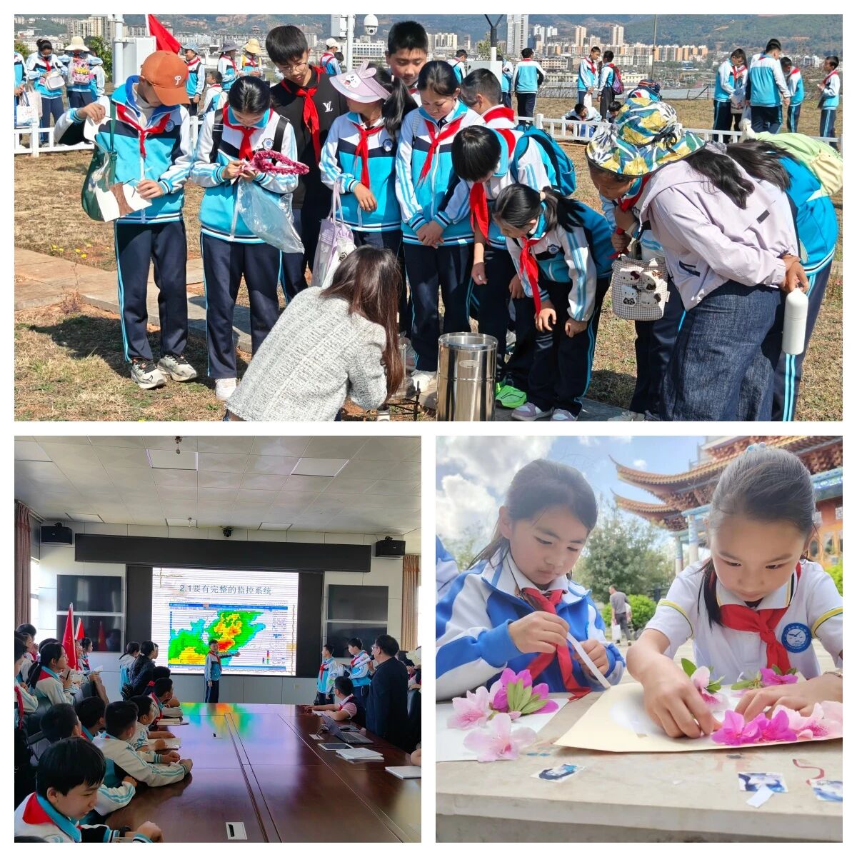 龙小3.jpg 龙小3.jpg