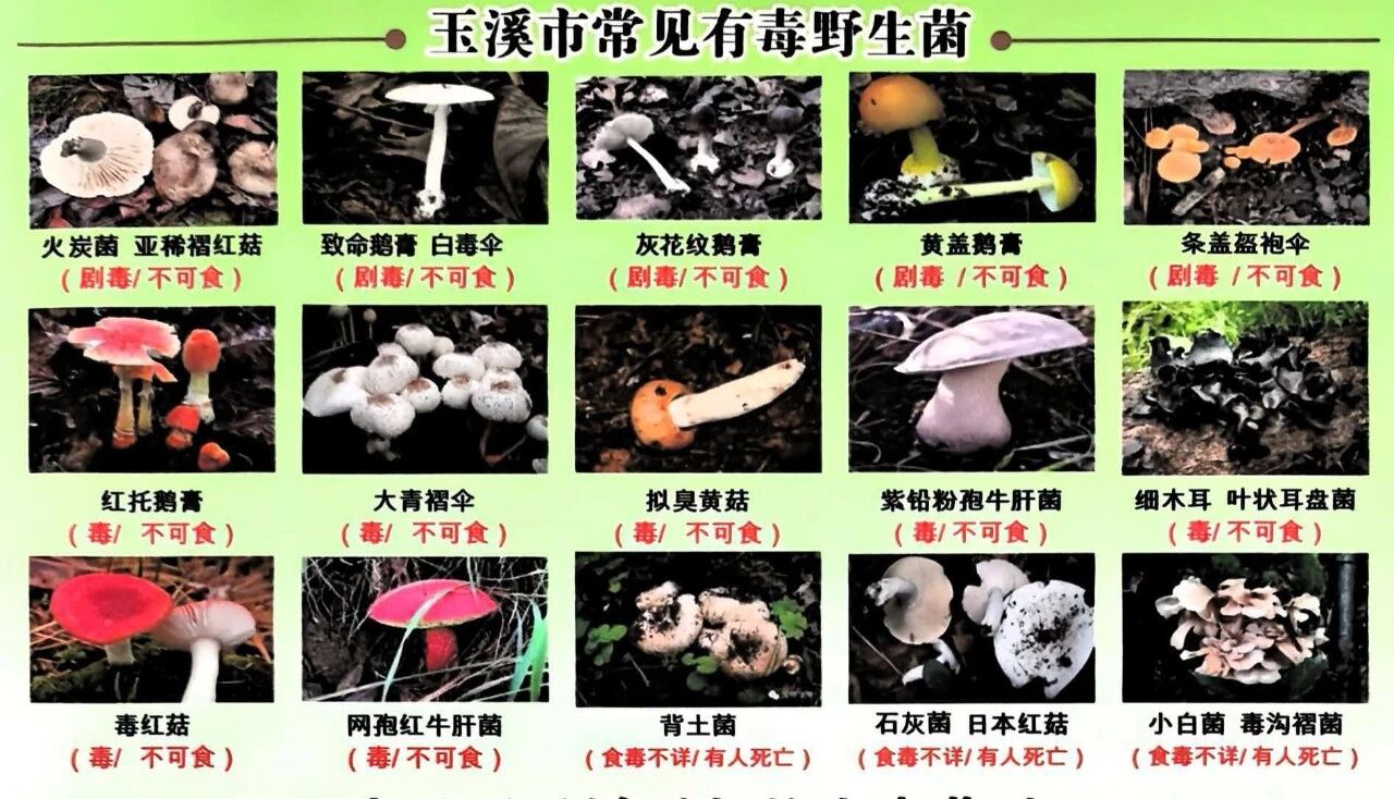 52c989f4d5ac3a5f991275ad38f054a7.jpg